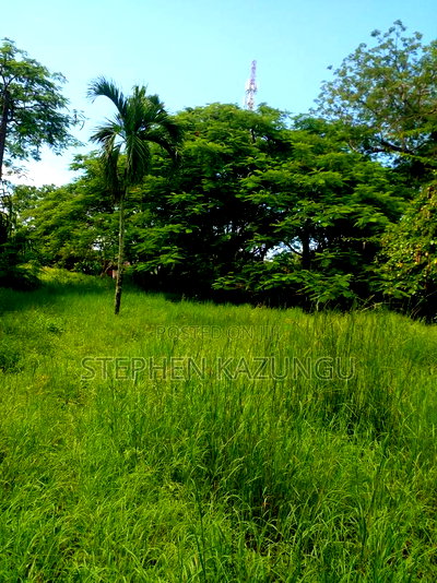 1 Acre Plot on 2nd Row, Tarmac Road Touching in Diani Beach - Image 9