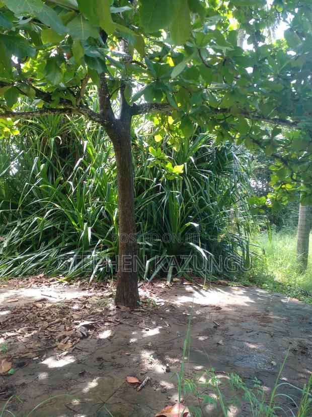 1 Acre Plot on 2nd Row, Tarmac Road Touching in Diani Beach