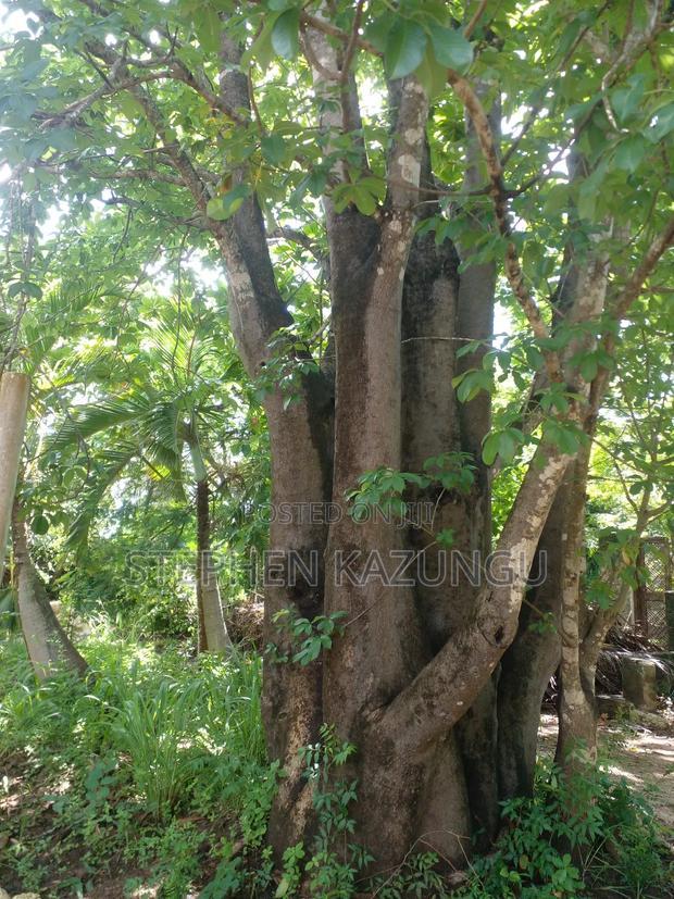 1 Acre Plot on 2nd Row, Tarmac Road Touching in Diani Beach