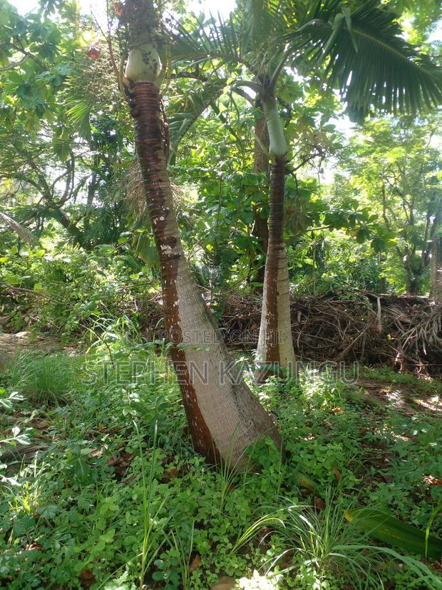 1 Acre Plot on 2nd Row, Tarmac Road Touching in Diani Beach