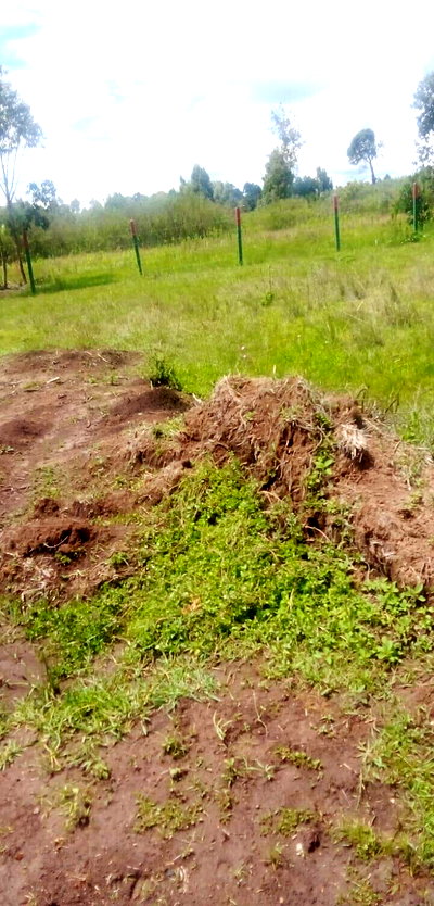 KSh 3.3M Plot in Kiambu
