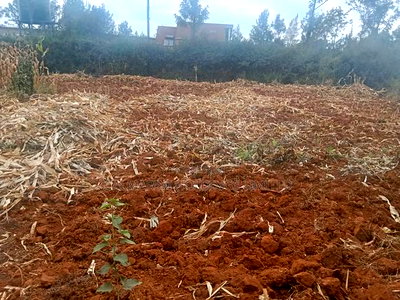 Prime Redsoil Quarter Acre in Lower Matasia. Deal Price - Image 2
