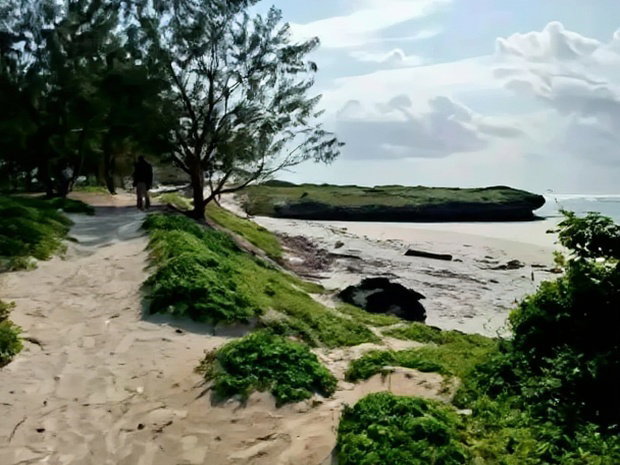 Prime 4 Acre First Row Beach Plots for Sale
