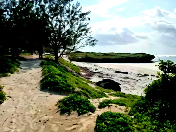 Prime 4 Acre First Row Beach Plots for Sale