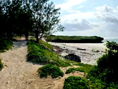 Prime 4 Acre First Row Beach Plots for Sale - Image 2