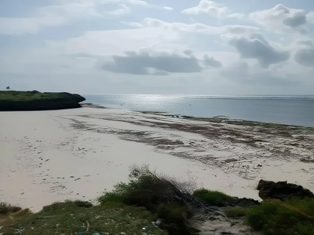 Prime 4 Acre First Row Beach Plots for Sale
