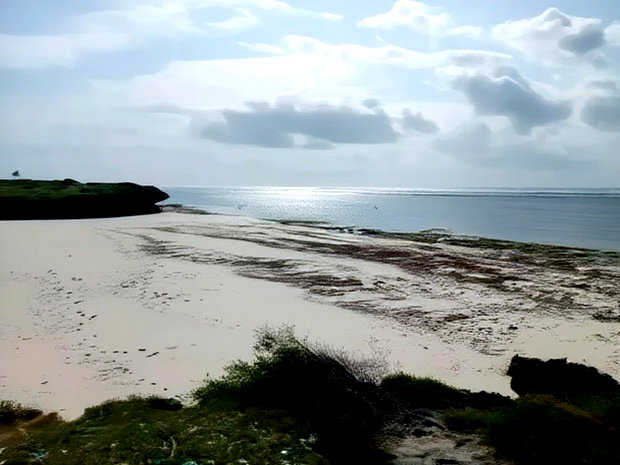 Prime 4 Acre First Row Beach Plots for Sale