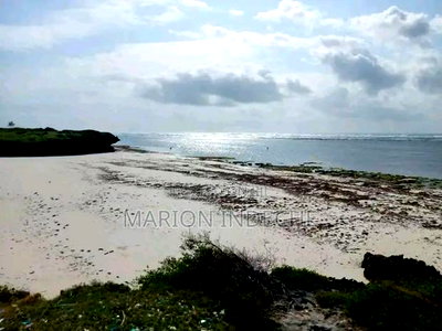 Prime 4 Acre First Row Beach Plots for Sale - Image 3