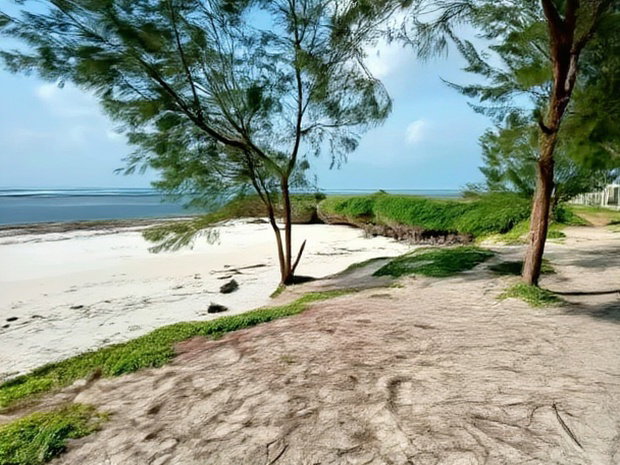 Prime 4 Acre First Row Beach Plots for Sale
