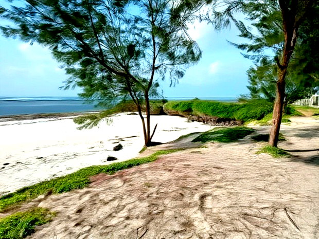 Prime 4 Acre First Row Beach Plots for Sale
