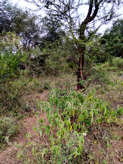 12 Acres Makueni Muusini - Image 1