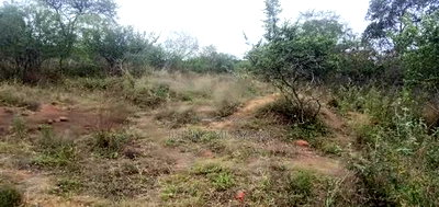 12 Acres Makueni Muusini - Image 2