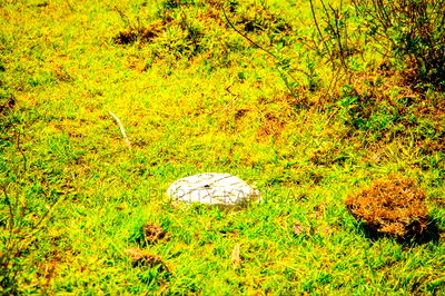 Affordable Prime Plots in Kisumu - Image 1