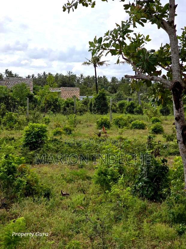 Kilifi Tezo Prime 50by100ft Plots for Sale