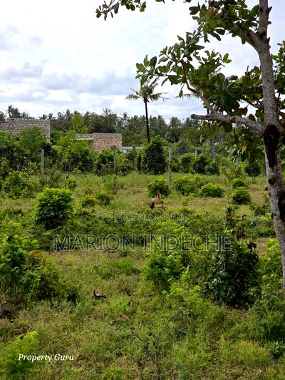 Kilifi Tezo Prime 50by100ft Plots for Sale - Image 2