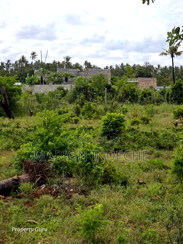 Kilifi Tezo Prime 50by100ft Plots for Sale