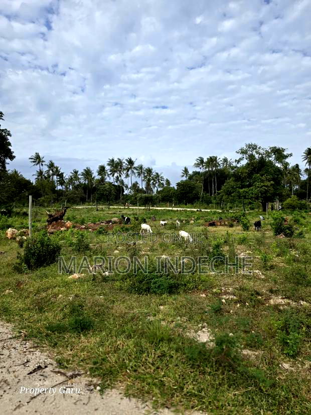 Kilifi Tezo Prime 50by100ft Plots for Sale