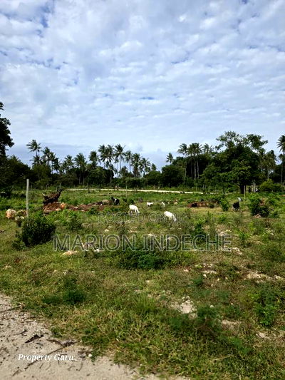 Kilifi Tezo Prime 50by100ft Plots for Sale - Image 4