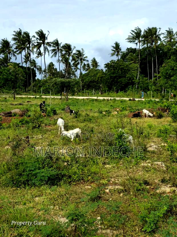 Kilifi Tezo Prime 50by100ft Plots for Sale