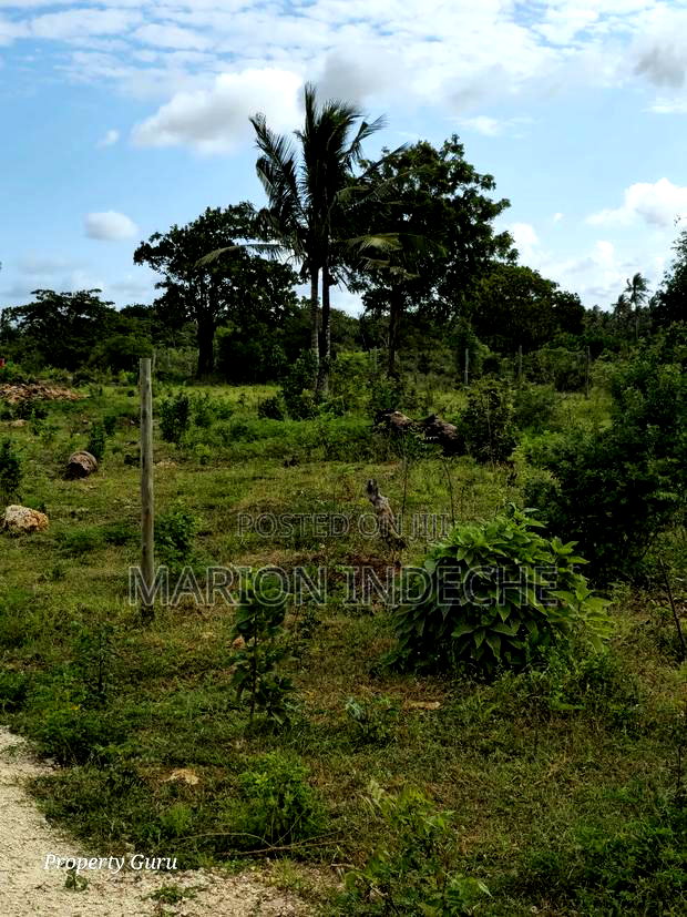 Kilifi Tezo Prime 50by100ft Plots for Sale