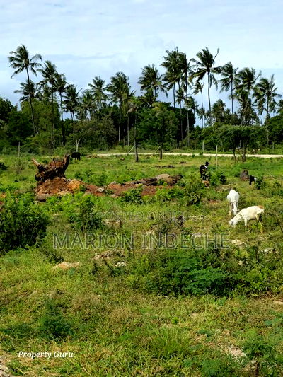 Kilifi Tezo Prime 50by100ft Plots for Sale - Image 6