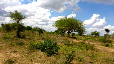 Prime Plots in Malindi - Image 2