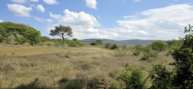20 Acres for Sale in Mua Hills