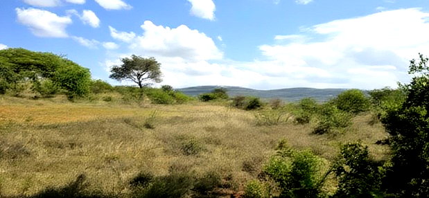 20 Acres for Sale in Mua Hills