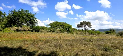 20 Acres for Sale in Mua Hills - Image 5