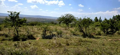 20 Acres for Sale in Mua Hills - Image 7