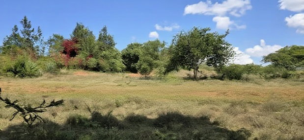 20 Acres for Sale in Mua Hills