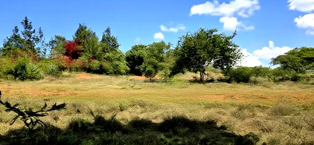 20 Acres for Sale in Mua Hills