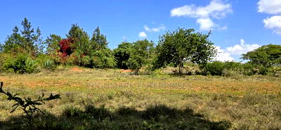 20 Acres for Sale in Mua Hills - Image 4