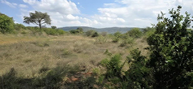20 Acres for Sale in Mua Hills