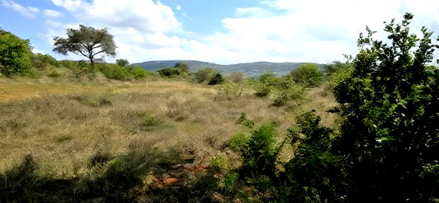 20 Acres for Sale in Mua Hills