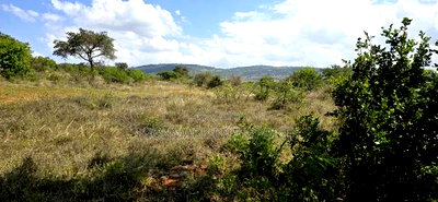 20 Acres for Sale in Mua Hills - Image 3