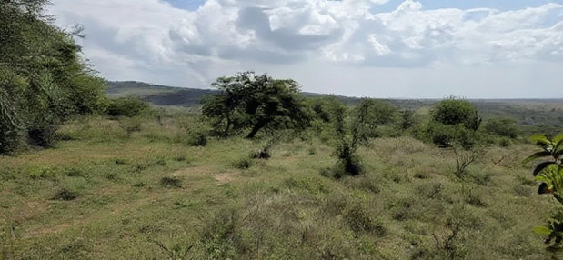 20 Acres for Sale in Mua Hills