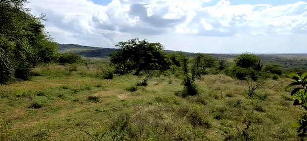 20 Acres for Sale in Mua Hills