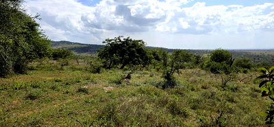 20 Acres for Sale in Mua Hills - Image 1