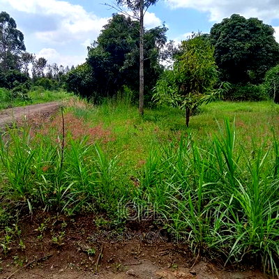 Langa Langa Gilgil 10 Acres Land for Sale - Image 1