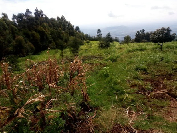 Langa Langa Gilgil 10 Acres Land for Sale