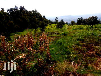 Langa Langa Gilgil 10 Acres Land for Sale - Image 2