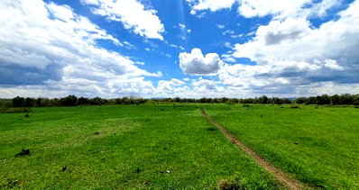 211-Acre Land with Ready Freehold Title