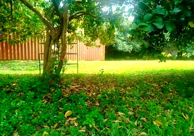 1-Acre Karen Plot at KSh 100M