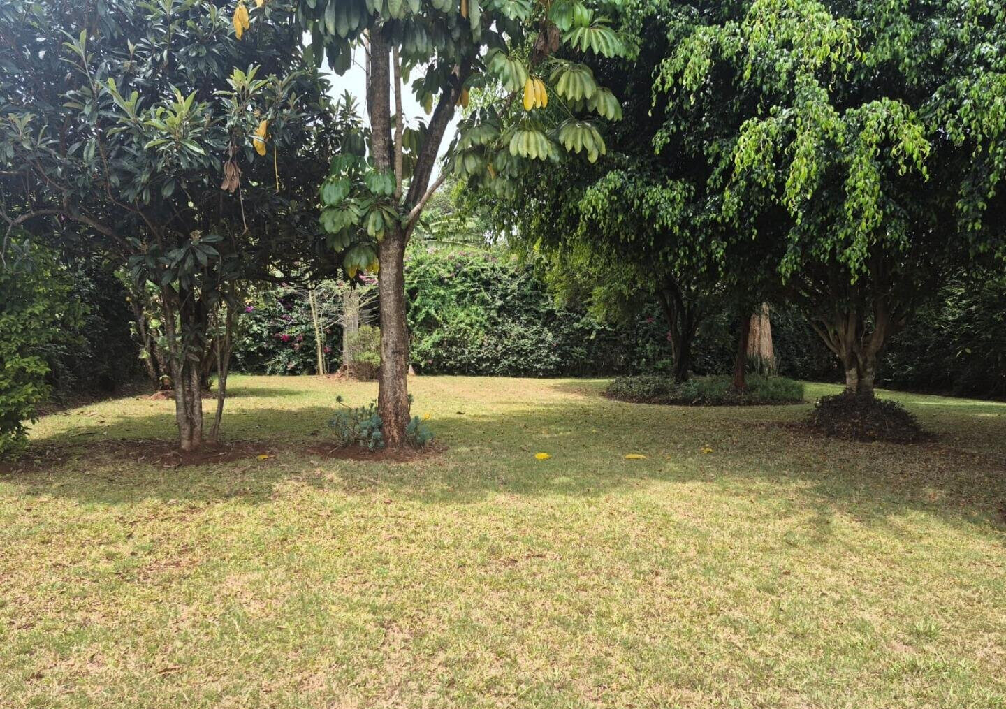 4BR Garden Oasis for KSh 300K