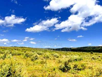 Nachu Mikuyuini - Image 7