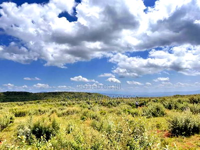 Nachu Mikuyuini - Image 1