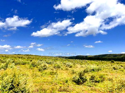 Nachu Mikuyuini - Image 8