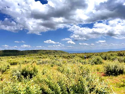 Nachu Mikuyuini - Image 4