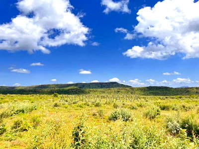 Nachu Mikuyuini - Image 3